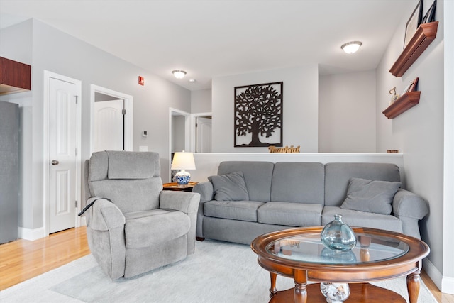 living room with light hardwood / wood-style floors