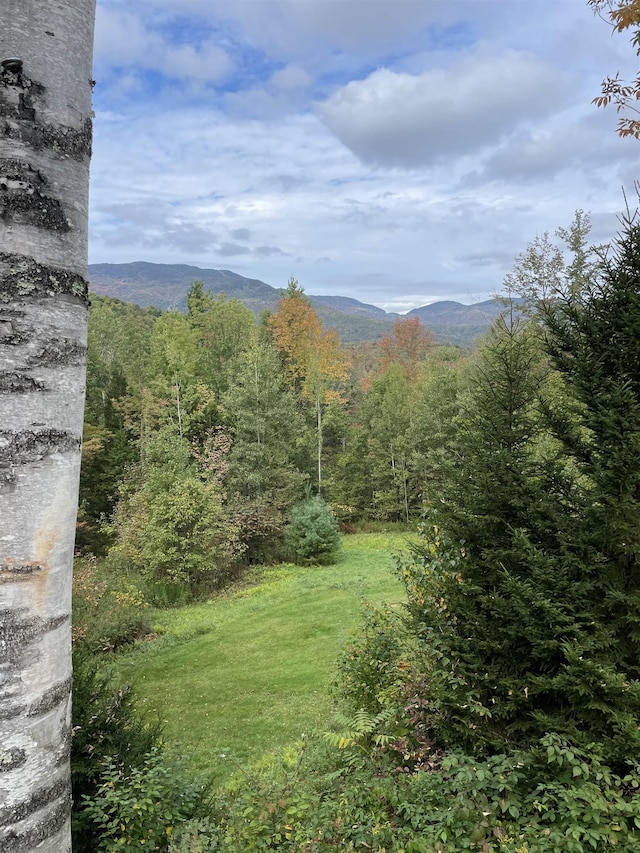 Listing photo 2 for 136 Old Quarry Rd, Fayston VT 05673