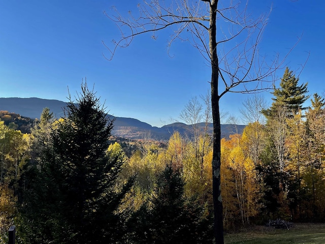 Listing photo 3 for 136 Old Quarry Rd, Fayston VT 05673