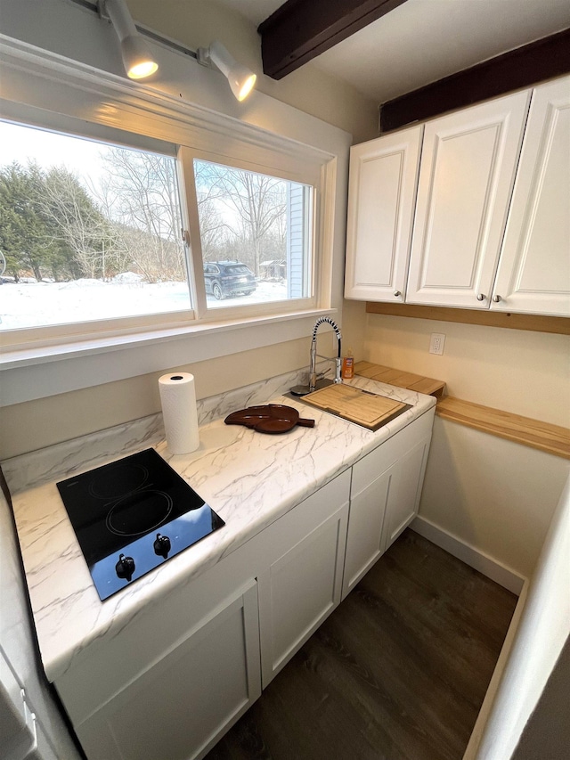 interior space featuring dark hardwood / wood-style floors and sink