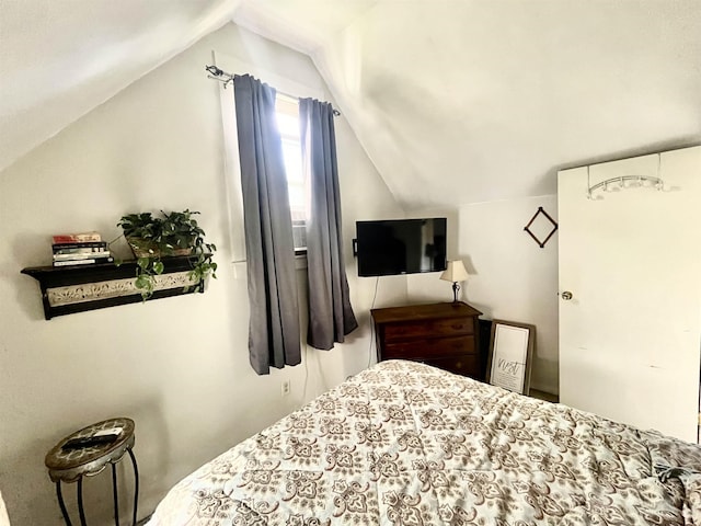 bedroom featuring lofted ceiling