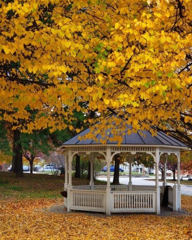 view of community featuring a gazebo