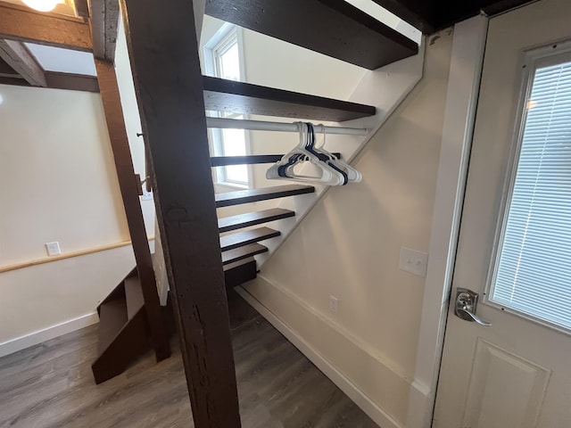 stairway featuring plenty of natural light and hardwood / wood-style floors