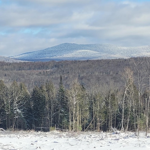 000 Kinney Hill Rd, Newark VT, 05871 land for sale