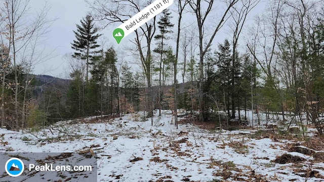 Listing photo 3 for 0 Eaton Rd, Freedom NH 03836