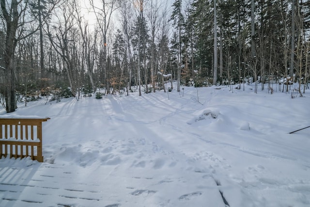 view of yard layered in snow