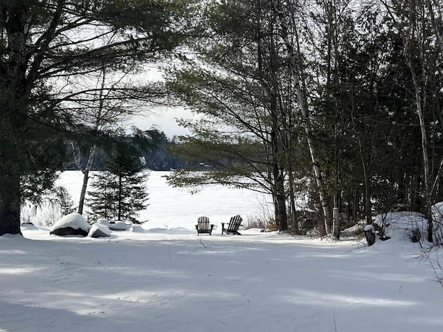 view of snowy yard