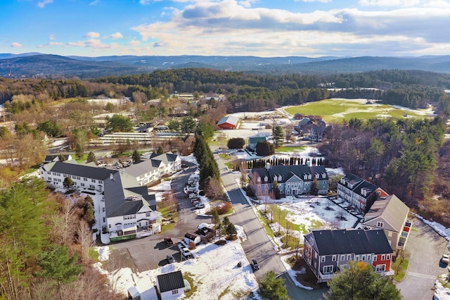 drone / aerial view featuring a mountain view