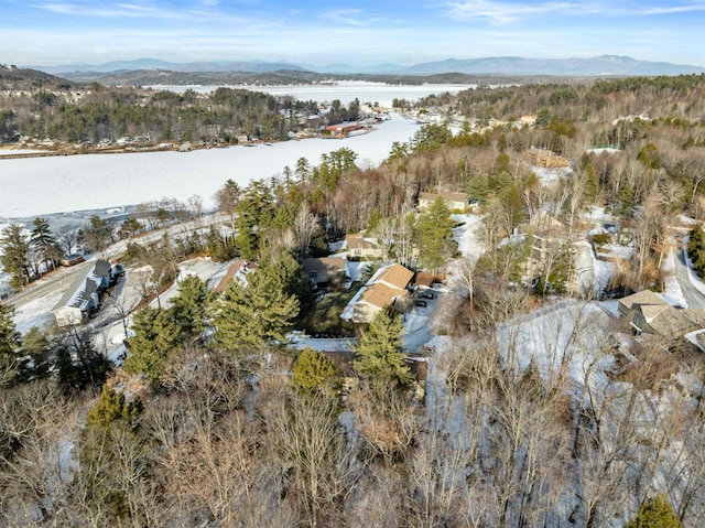 drone / aerial view featuring a mountain view