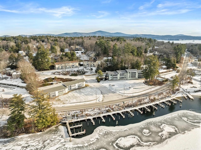 aerial view with a water and mountain view