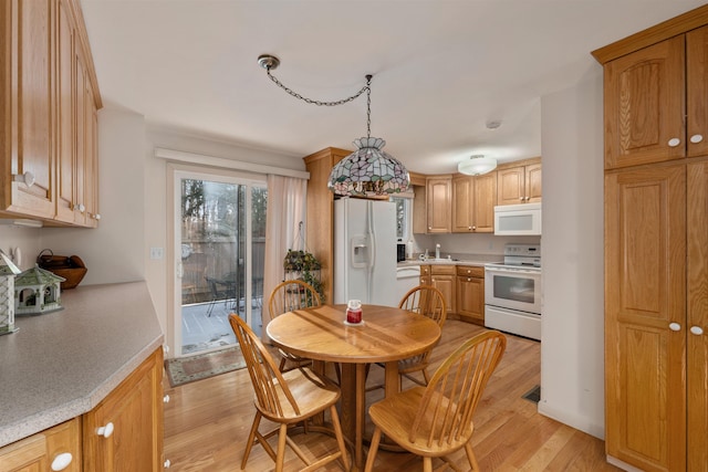 dining area with sink and light hardwood / wood-style flooring