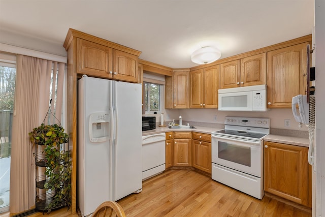 kitchen featuring sink, white appliances, and light wood-type flooring