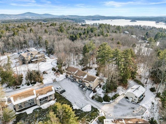 bird's eye view with a mountain view