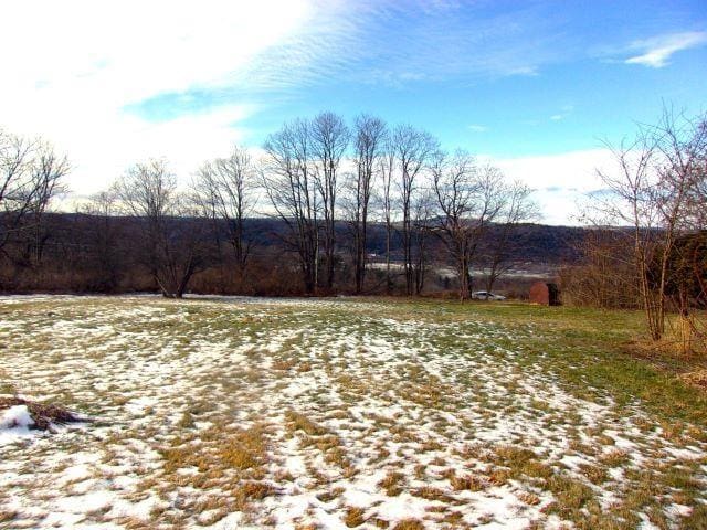 520 Rte 10, Piermont NH, 03779 land for sale