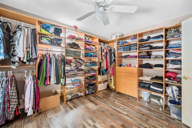 spacious closet featuring ceiling fan and hardwood / wood-style flooring