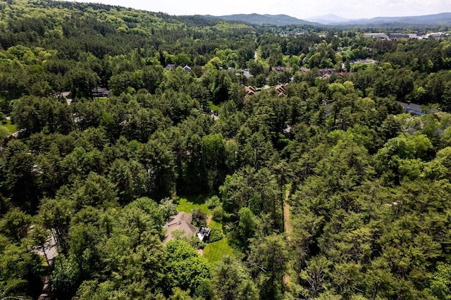 bird's eye view with a mountain view