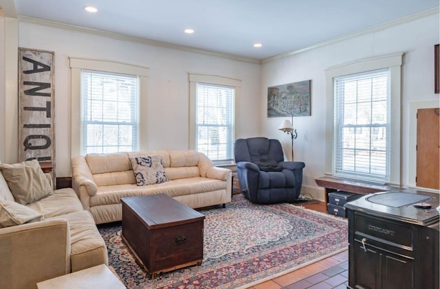 living room with ornamental molding