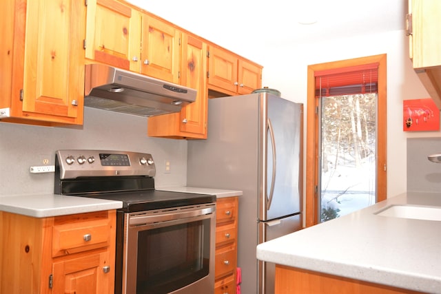 kitchen with appliances with stainless steel finishes and sink