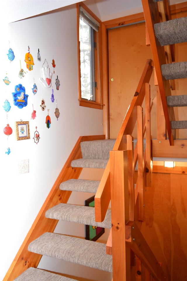 stairs with hardwood / wood-style floors