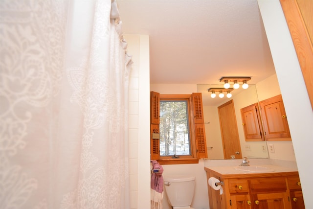 bathroom with toilet and vanity