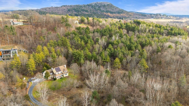 birds eye view of property featuring a mountain view