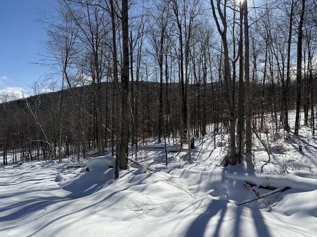 Listing photo 2 for S-1E Great Roaring Brook Rd, Plymouth VT 05056