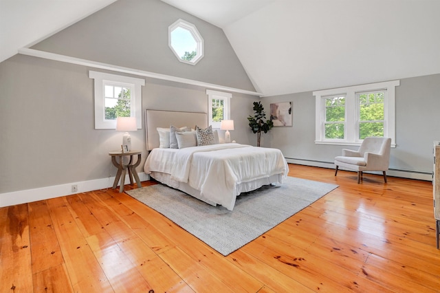 bedroom with lofted ceiling and wood-type flooring