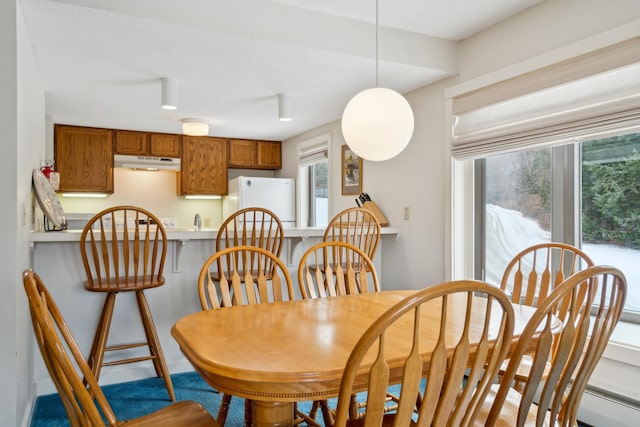 dining room with a textured ceiling and a healthy amount of sunlight