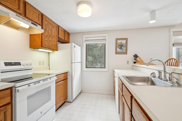 kitchen featuring sink, white appliances, a textured ceiling, and a healthy amount of sunlight