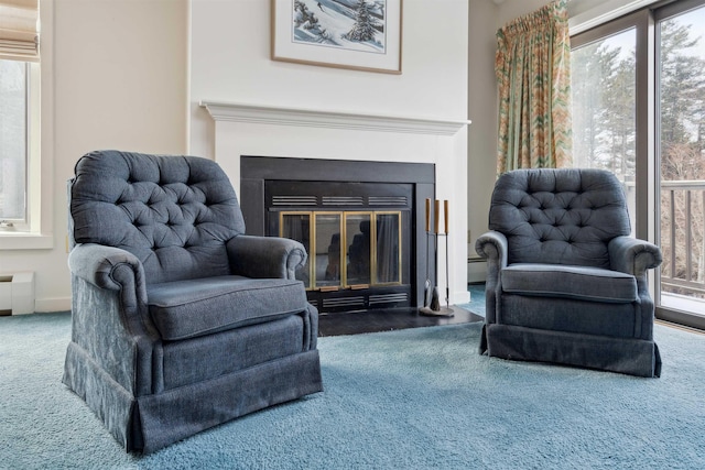 living area with a baseboard radiator and carpet