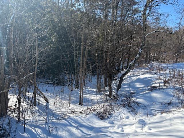 0 Rte 107, Stockbridge VT, 05772 land for sale