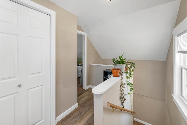 stairway with lofted ceiling and wood-type flooring