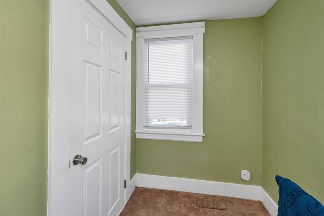 laundry room with carpet