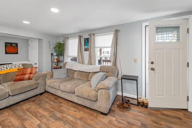 living room featuring wood-type flooring