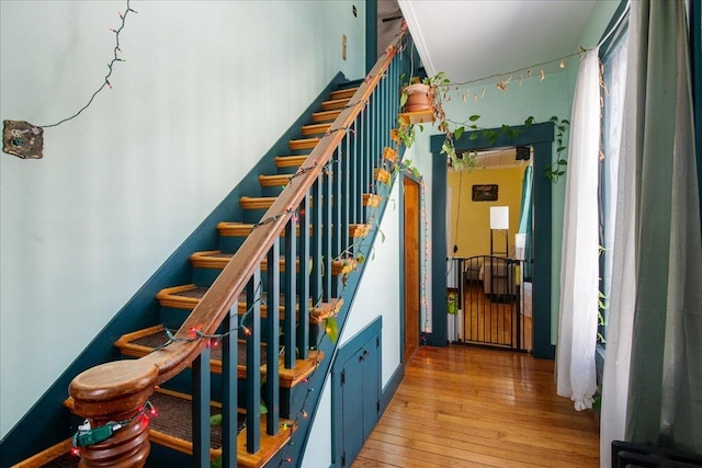 staircase featuring hardwood / wood-style flooring