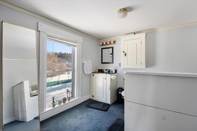 washroom with carpet, crown molding, and sink