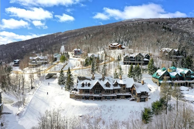 snowy aerial view with a mountain view