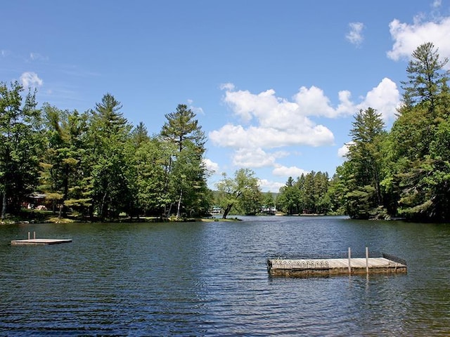 view of dock with a water view