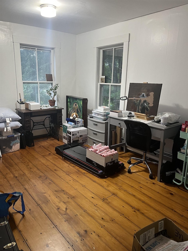 office area featuring hardwood / wood-style floors