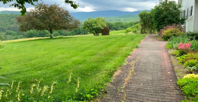 view of community with a yard and a mountain view