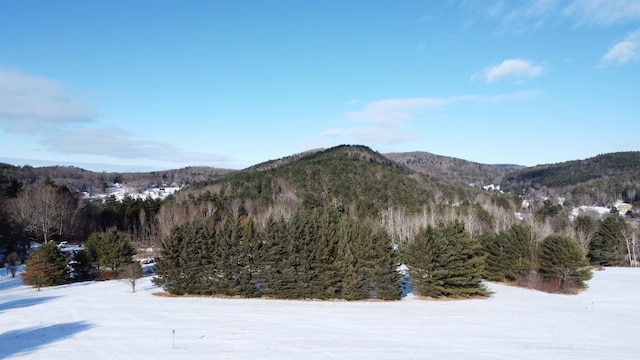 view of mountain feature