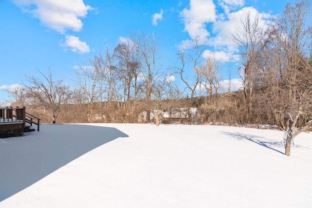 view of yard layered in snow