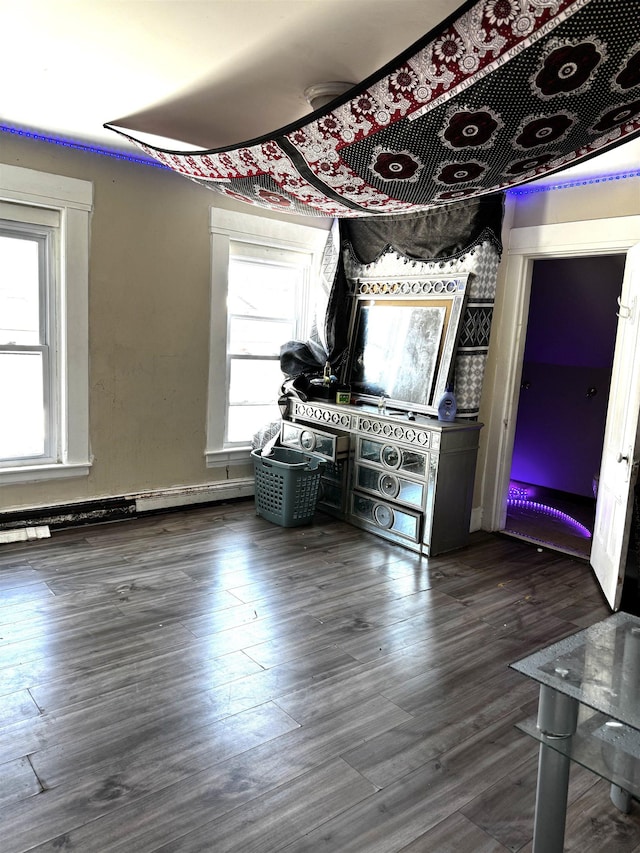 interior space featuring multiple windows and dark hardwood / wood-style flooring