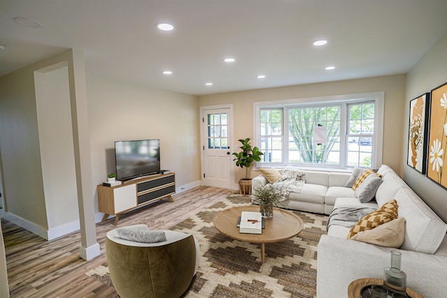 living room with light wood-type flooring