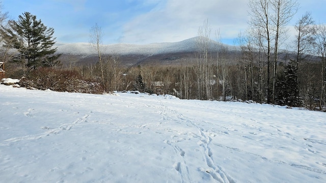 Listing photo 2 for 1335 Downingsville Rd, Lincoln VT 05443