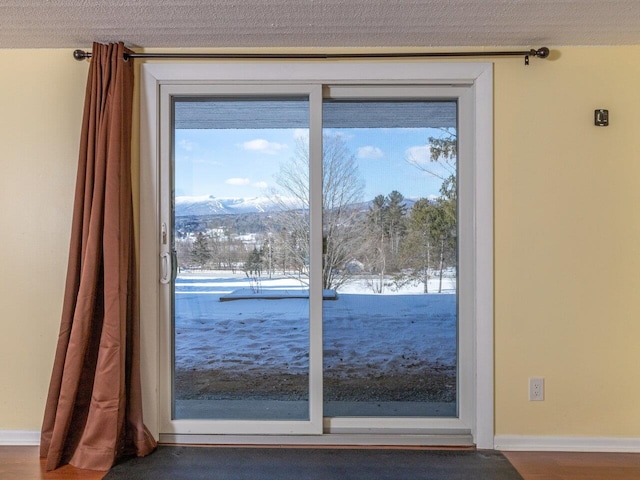 entryway with hardwood / wood-style flooring, a mountain view, and a textured ceiling