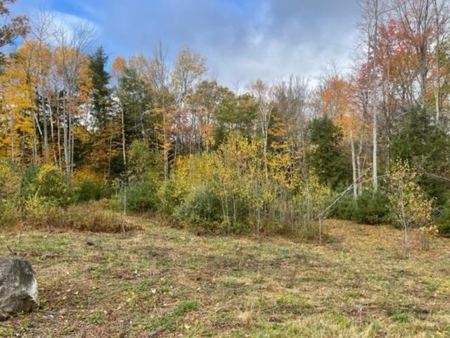 Listing photo 3 for 158 Goose Hollow Rd, Thornton NH 03223