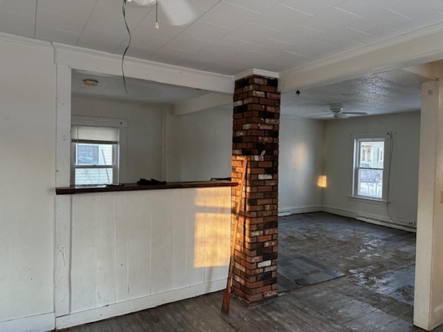 interior space with ceiling fan, a healthy amount of sunlight, ornamental molding, and baseboard heating