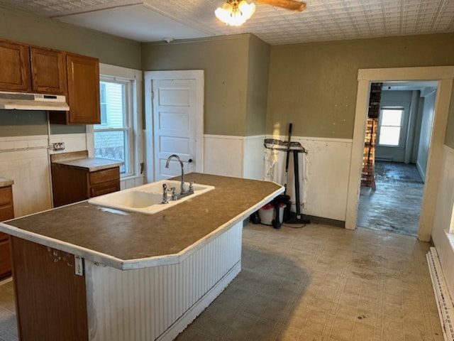 kitchen featuring sink, a kitchen island with sink, and a wealth of natural light