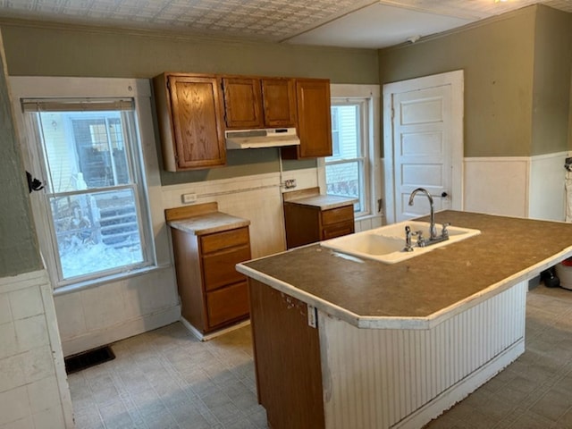 kitchen with sink and a center island with sink